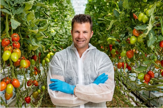 Martijn Maat in tomaat